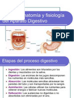 Anatomía y Fisiología Del Sist. Digestivo