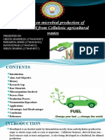 Production of Bioethanol