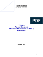 Tema 8 - Acidos Nucleicos Modulo 2