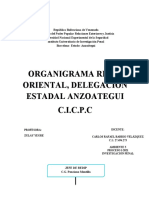 ORGANIGRAMA REDIP ORIENTAL Dicente Rafael