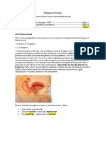 Patologia Da Próstata