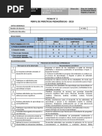 Perfil de Prc3a1cticas Pedagc3b3gicas Final 2015