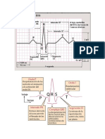 Electrocardiograma Basico