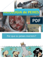 Patologia de Peixes