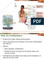 Carbohydrates and Its Types