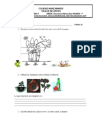 NOMBRE TEMAB 1. Encierra Con Tu Color Favorito Los Seres Vivos