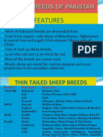 Sheep and Goat Breeds of Pakistan 05-04-10 A