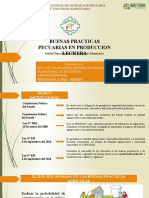 Presentación BPP