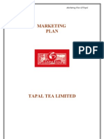 Marketing Plan of Tapal