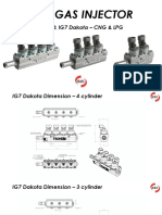 Rail Gas Injector - Ig7 Dakota