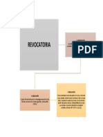 Esquema Del Recurso de Revocatoria en Materia Pcym