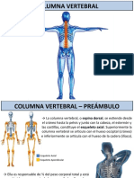 Aula - Coluna Vertebral