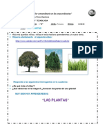 Clase N°01 - Unidad 5 Ciencia y Tecnología - Las Plantas