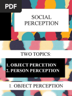 Social Perception