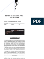 Modulo11 - Estudo Da Carabina Puma Cal 38