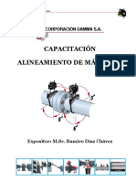 Curso Alineamiento Gamma Texto