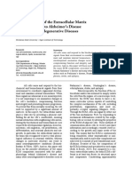 The Breakdown of The Extracellular Matrix