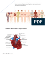 O Corpo Humano É Formado Pelos Sistemas