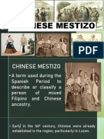 Chinese Mestizo