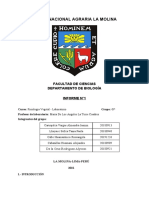 Informe de Medición de Crecimiento