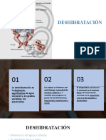 Tema 10 Deshidratacion y Shock Hipovolemico