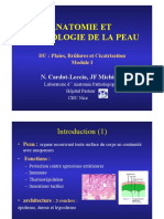 1-1 Anatomie Peau