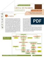 Tourteau de Palmiste - Coproduit