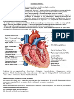 Fisiologia Cardíaca