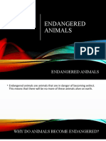 Endangered Animals