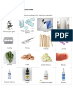 Informe de Biologia. Celula Animales y Vegetales.