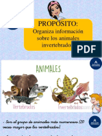 CIENCIA Los Invertebrados