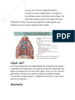 Las Venas Pulmonares