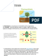 Clase (3) - La Fotosíntesis