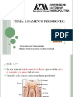 Ligamento Periodontal