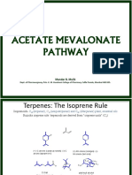 Acetate Mevalonate Pathway