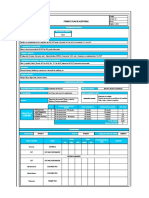 Formato Plan de Auditorias