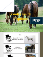 Zootecnia 2020