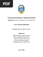 Proceso Ejecutivo.