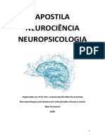 Apostila Neuropsicologia Prof. Luciana PDF