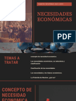 Necesidades Económicas