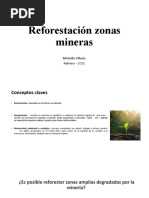 Reforestación Zonas Mineras