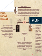 Linea Del Tiempo de La Evolución de La Especie Humana