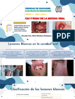 4-2, Grupo 7 - 1er Parcial, Diapositivas Lesiones Blancas y Rojas