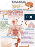 Homeostasis PDF Ximena Rosales Astudillo