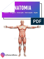 Anatomia - Tabela Musculos