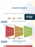 12 - Curso Cogep Sumario y Ejecutivo