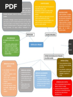 Organizador Visual D.U.