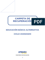 01 - Orientaciones Generales - Nivel Avanzado-Carpeta de Recuperación