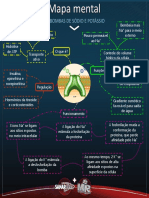 SanarFlix - Bomba de Sódio e Potássio (Mapa Mental)