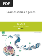 Ctic9 O2 Cromossomas e Genes